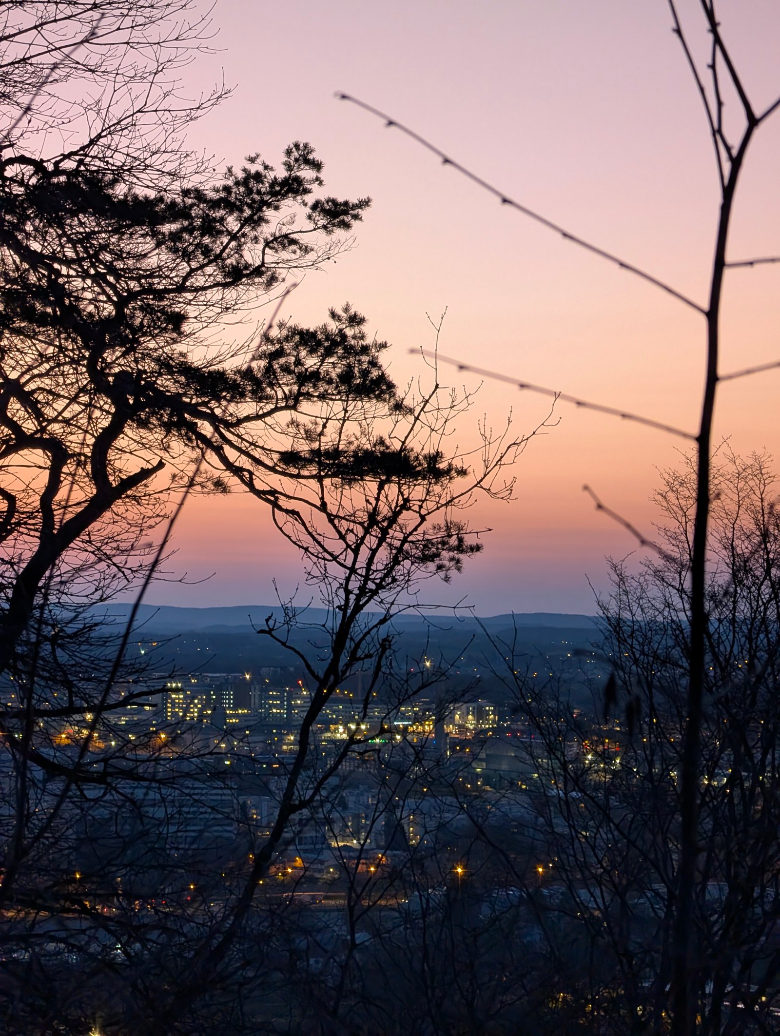 Paysages 